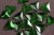 Стразы пришивные 18мм треуг Зеленый