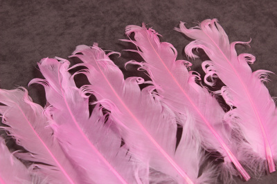 Перо куриное кудрявое 180мм Розовый - изображение