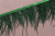 Тесьма 110мм из перьев страуса Т.зеленый