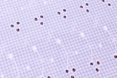 Батист-вышивка 16309 Клетка Белый/голубой - изображение